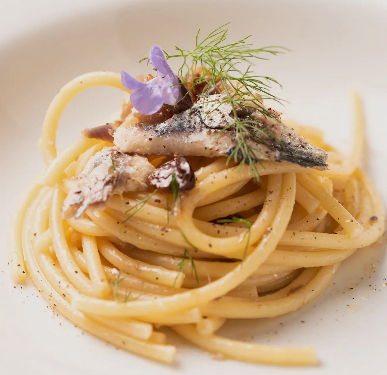 Organic Pici Pasta with Durum Wheat Semolina - Made in Italy